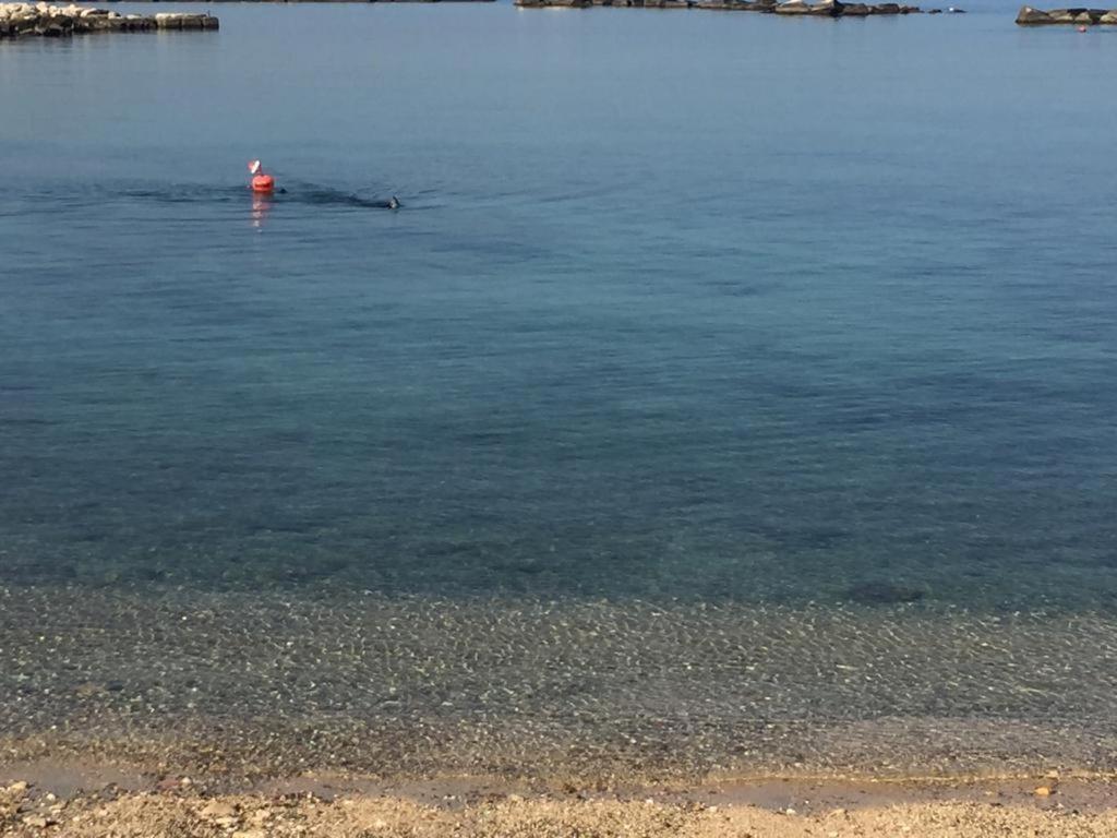 바리 La Mia Terrazza Sul Mare - Mared'Amare 아파트 외부 사진