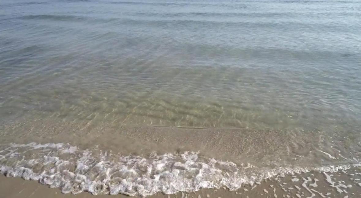 바리 La Mia Terrazza Sul Mare - Mared'Amare 아파트 외부 사진